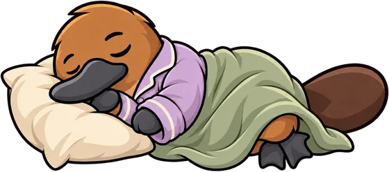 Platy asleep under a blanket, head on a pillow.